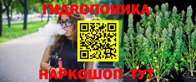 прущие крисы Краснознаменск