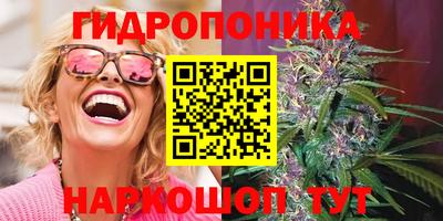 прущие крисы Краснознаменск