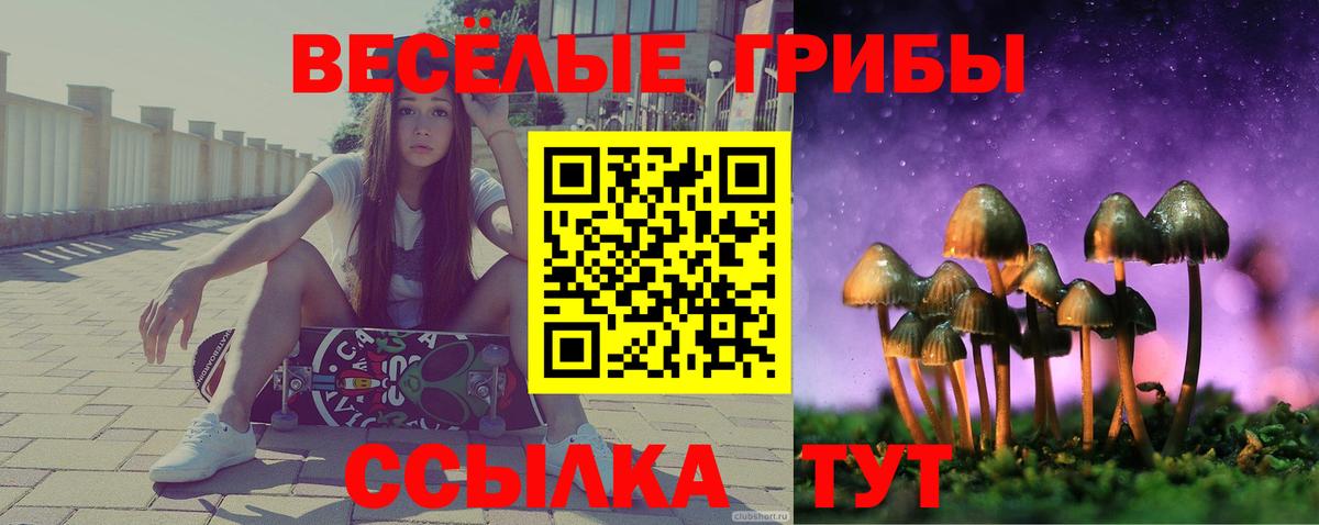 Изобильный  Псилоцибиновые грибы мицелий  Вход с VPN 